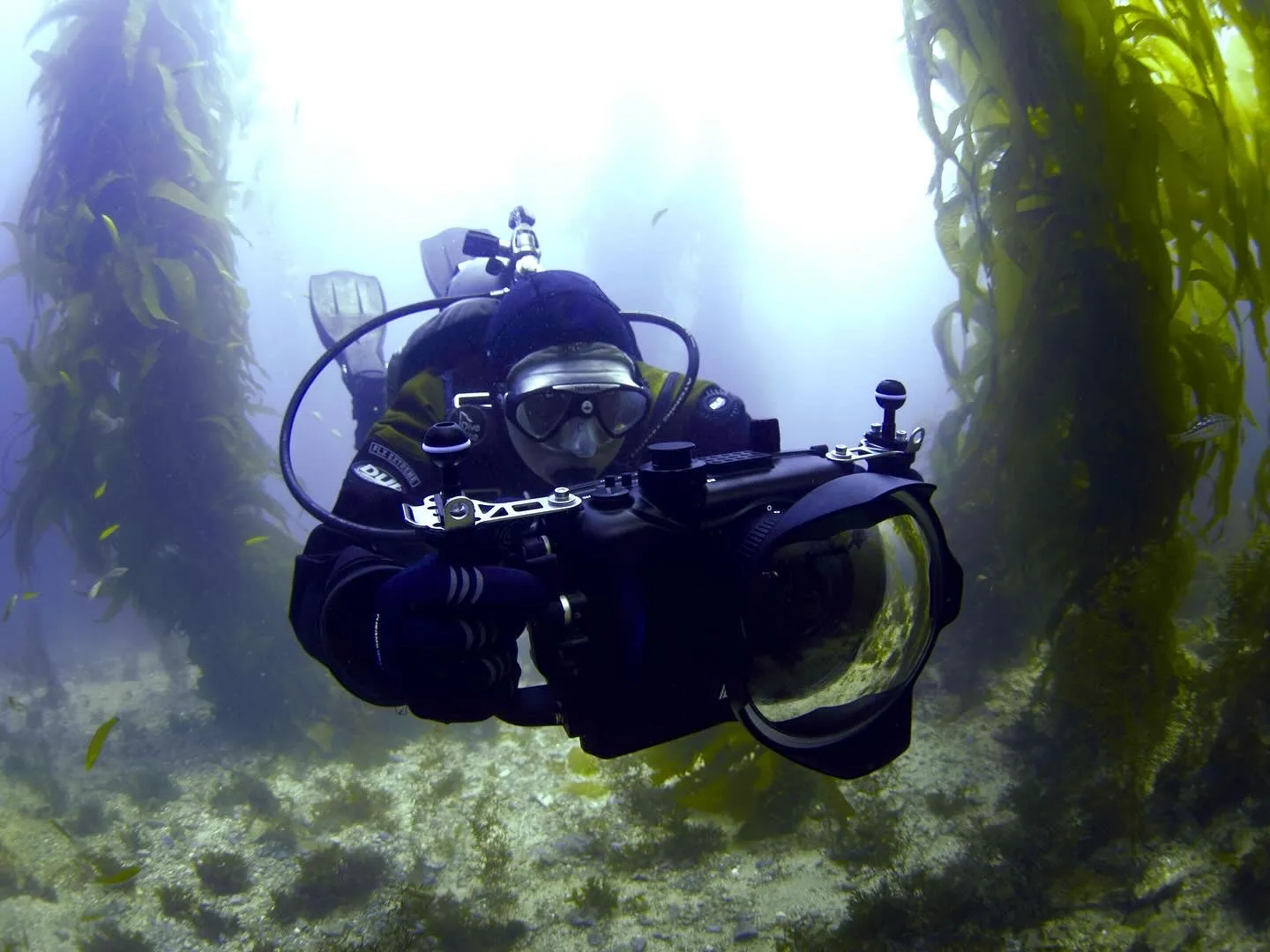 Bill Strong Celebration of Life on Spectre Dive Boat (November 10th)