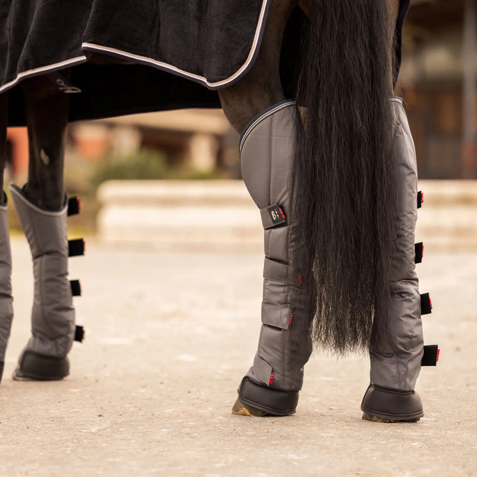 Equinavia B Vertigo Wellington Shipping Boots (Set of 4) - Anthracite Grey 19528