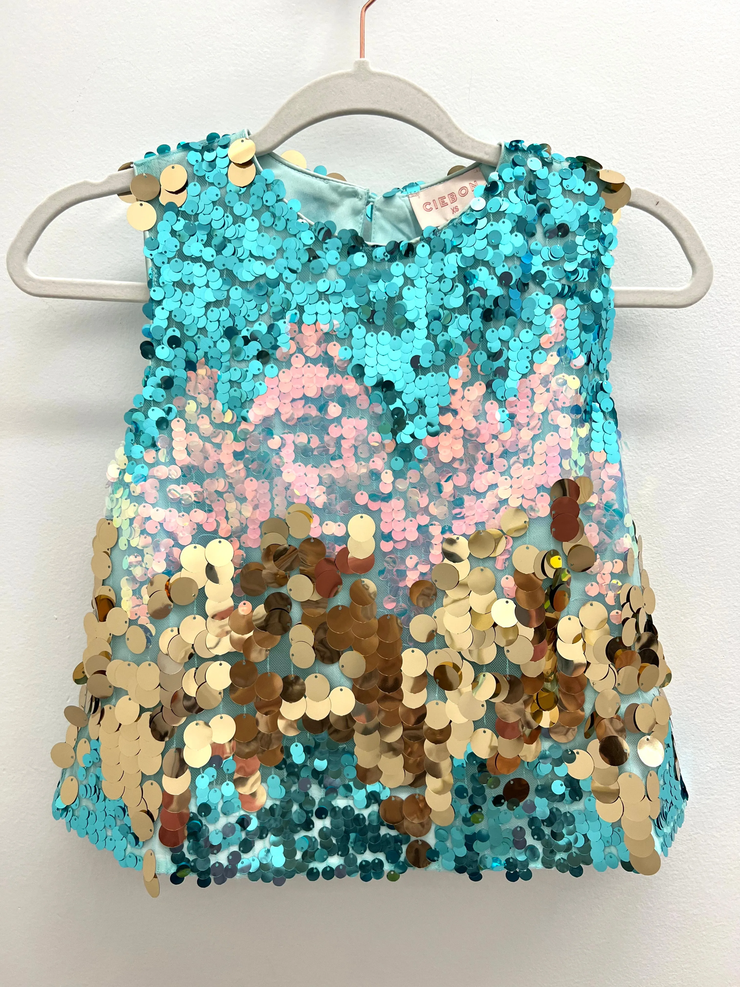 Ombre Sequin Top